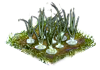 garlic_Icon.png