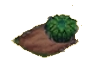 gefiederter Farn.png