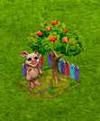 gift.gif