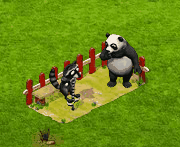 giveroffermay2020pogostick_Pogo Show.gif