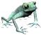 glassFrog.png