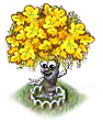 Goldblattbaum XL.png