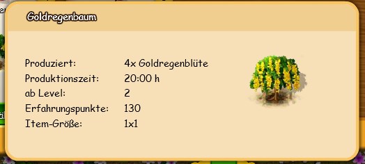 Goldregenbaum Beschreibung.jpg