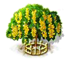 Goldregenbaum xxl.png