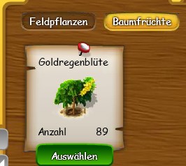 Goldregenblüte auf dem Markt.jpg
