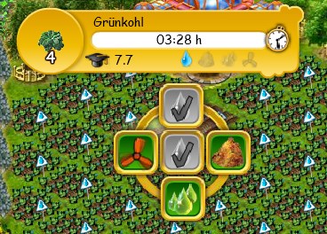 Grünkohl 02.jpg