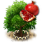 Granatapfelbaum-XL.png