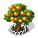 Grapefruit-Baum xl.png