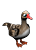 greylagGoose.png