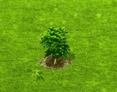 guanabana_upgrade_0.gif