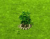guanabana_upgrade_1.gif