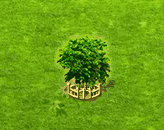 guanabana_upgrade_2.gif