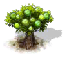 guava_Icon.png