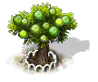 Guavenbaum xl.png