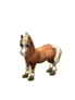 haflinger.png