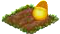 harvesteventnov2017slipperplant.png