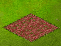 harvestnov2021fountaingrass.gif
