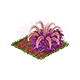 harvestnov2021fountaingrass.png