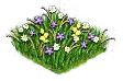 hay_Icon.png