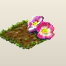 Heckenrose.png
