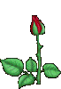 hHtQbzcc3g2xXZNEGmp2.gif