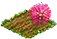 hiddenobjjul2019calliandra.png