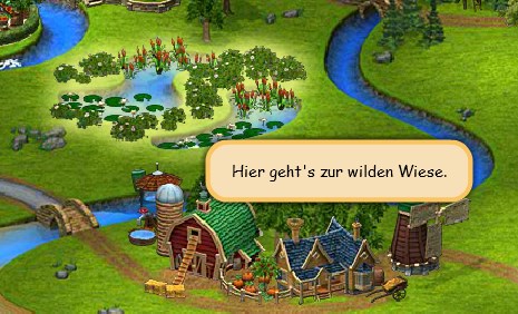 Hier gehts zur wilden Wiese.jpg