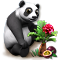 highlevelquestmar2018_434_big[1].png