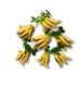 hK0NMsk[1].png