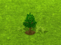 hollytree_upgrade_0.gif