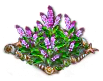 holybasil.png