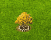 honeylocust_upgrade_1.gif