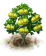 honeypomelo_upgrade_0.png