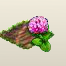Honigklee.png