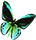hornetButterfly.png