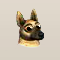 Hund.png