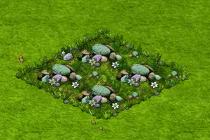 hvezdice_alpska_an[1].gif