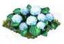 hydrangea_Icon.png