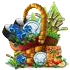icehockeymay2018basket4[1].png