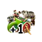 icon5.png