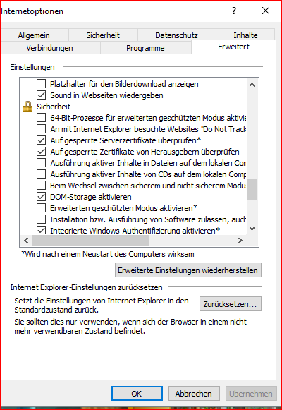 IE Privat 3.PNG
