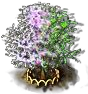 Image1[1].png