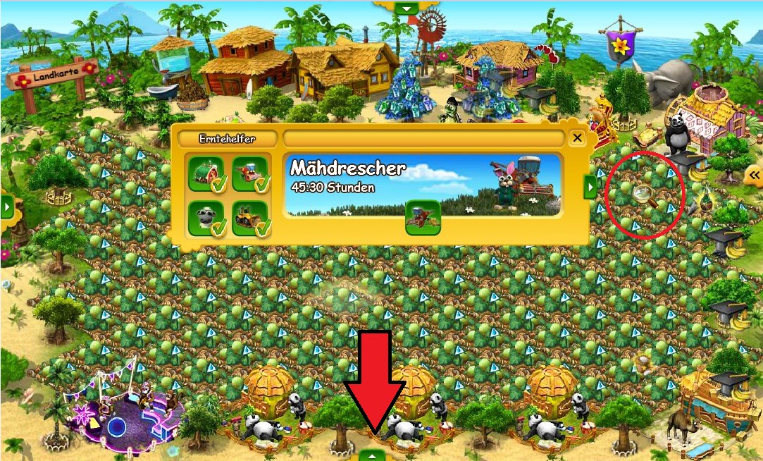 Insel Lupe.jpg