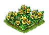 iris_Icon.png