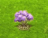jacaranda_upgrade_2.gif