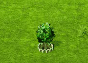 Jackfruchtbaum XL.gif