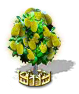 Jackfruchtbaum xxl.png