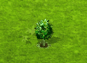 jacktree_upgrade_0.gif
