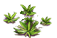 jAlGGvm[1].png