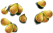 javaapple_layer2[1].png